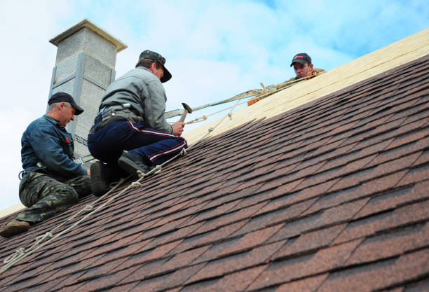 Best New Roof Installation  in Roosevelt Park, MI